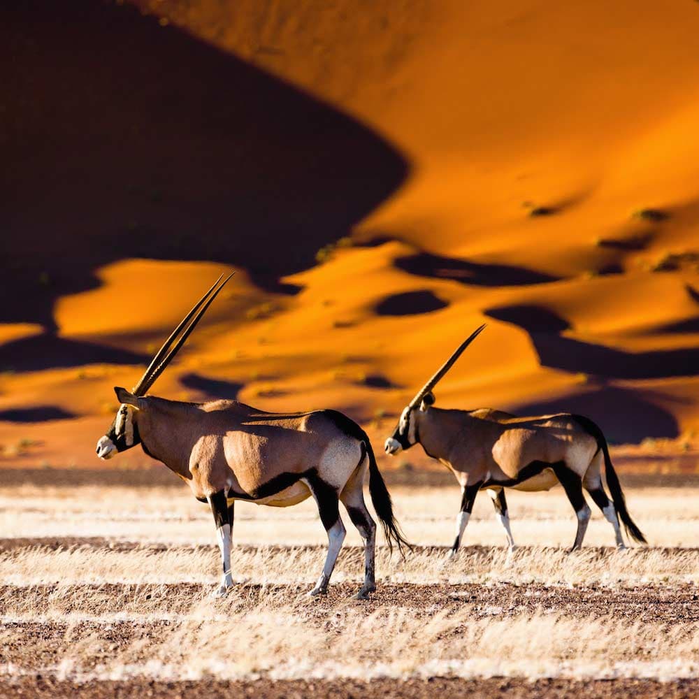 Sossusvlei — Namibia, Africa