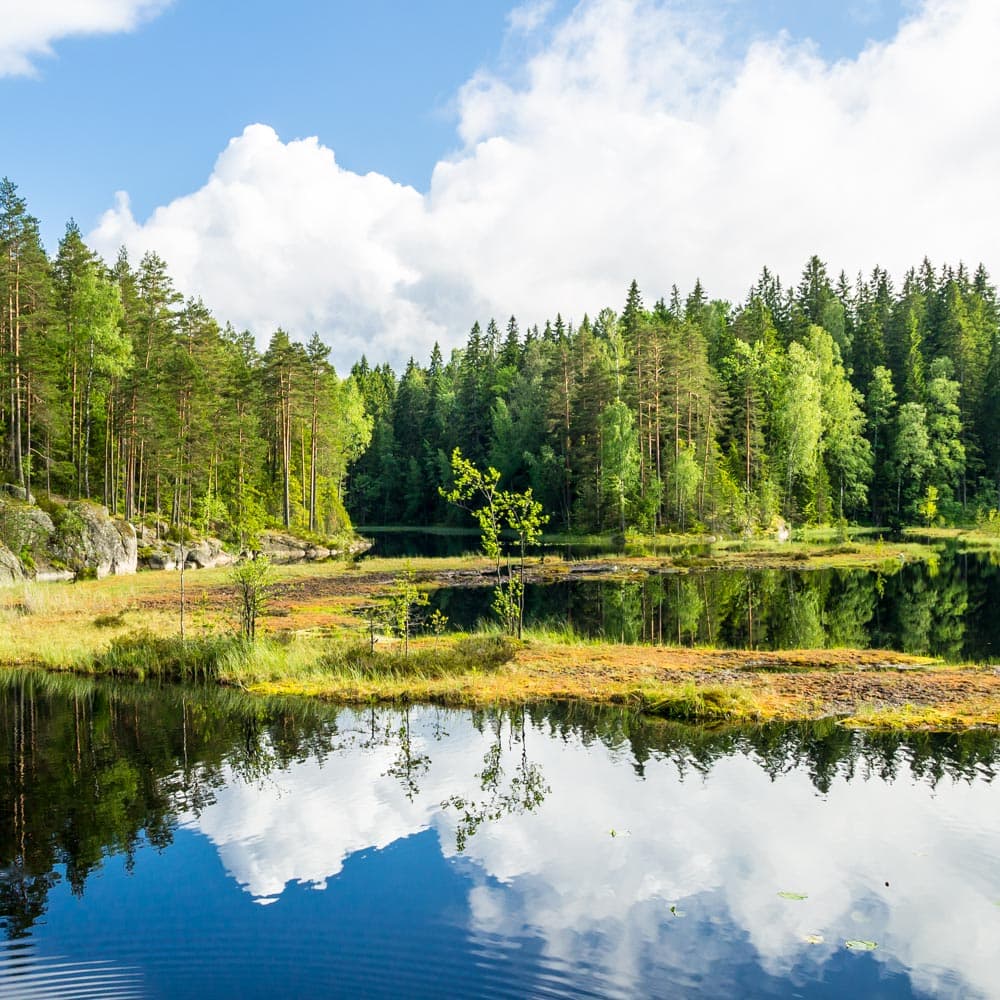 Nuuksio National Park — Finland, Scandinavia