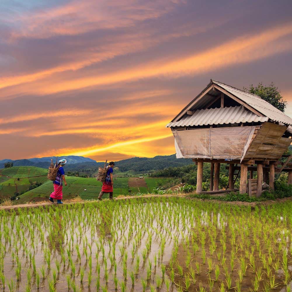 Chiang Mai — Thailand, Asia