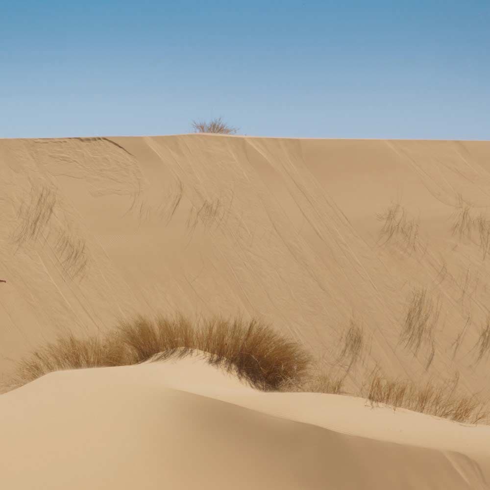 Atlantis Sand Dunes — South Africa, Africa