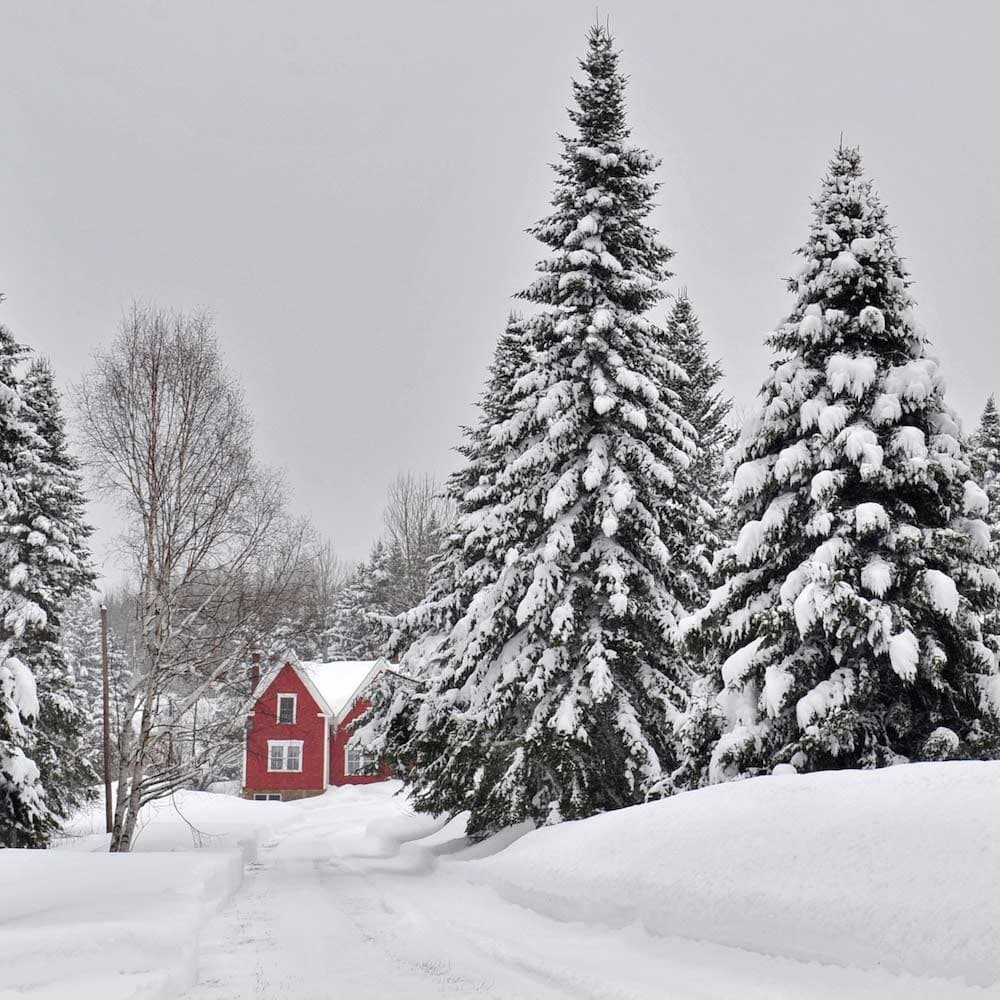New Sweden, Maine, United States, North America