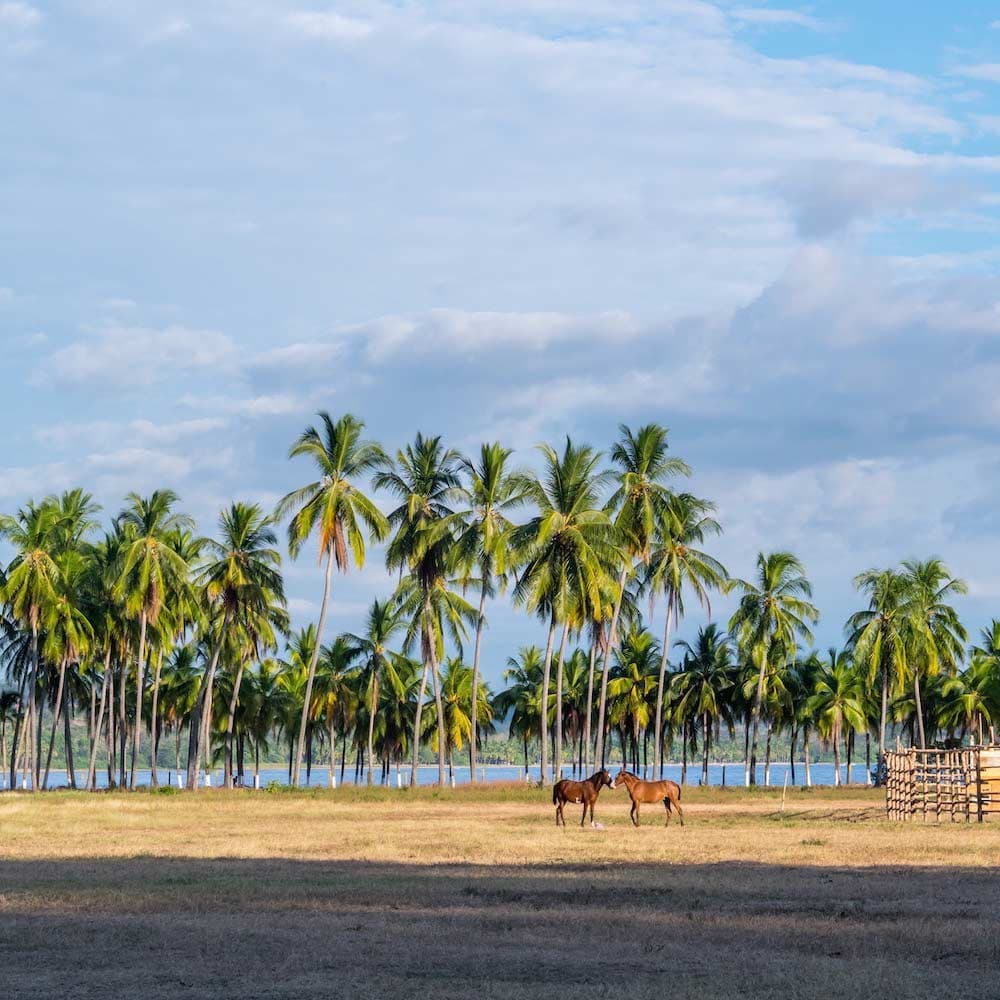 Sámara Beach — Costa Rica, Central America