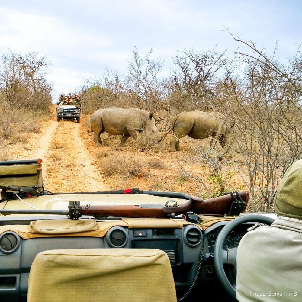 Kruger National Park — South Africa, Africa