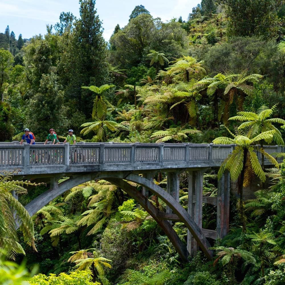 Whanganui National Park — New Zealand, Oceania