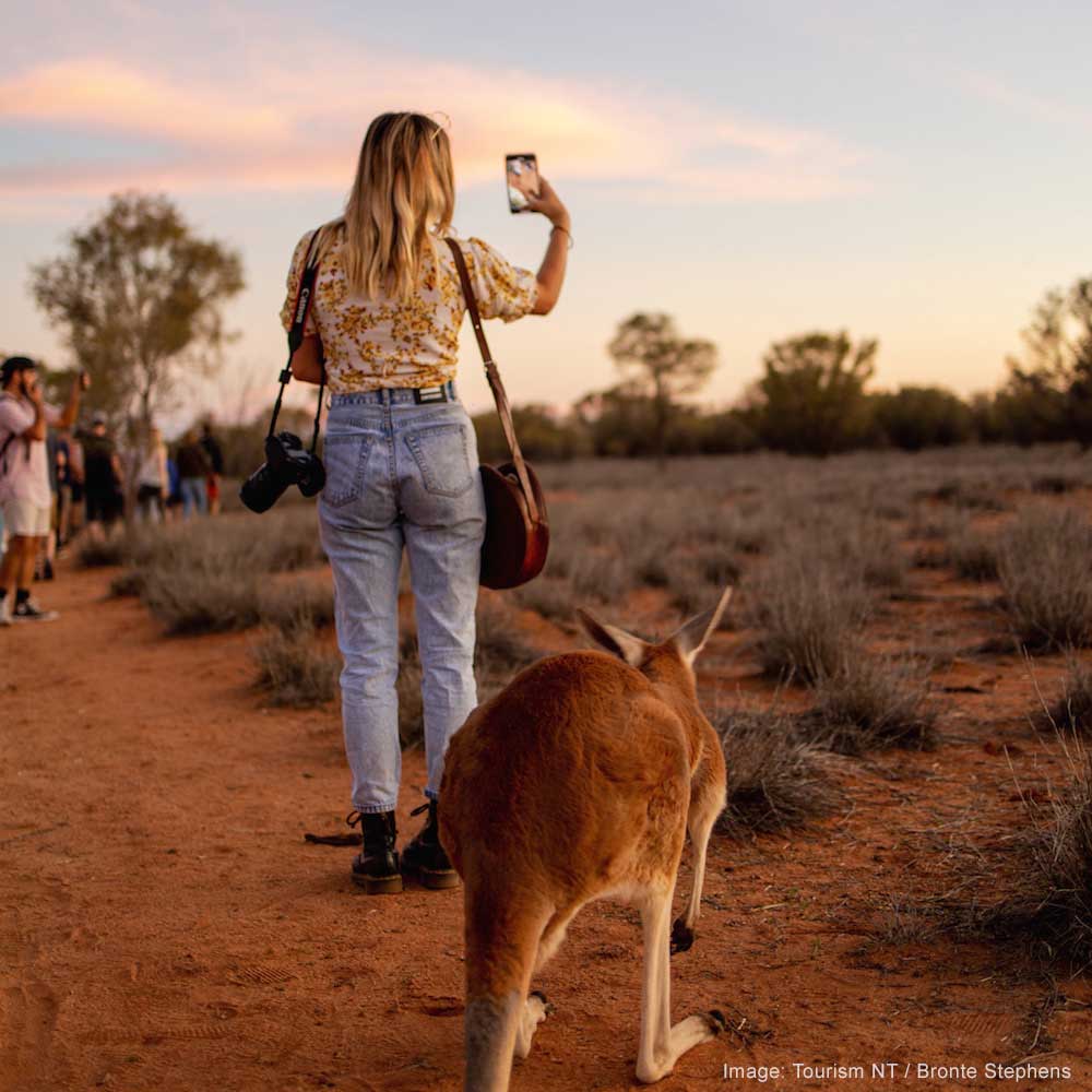 The Kangaroo Sanctuary — Alice Springs, The NT, Australia, Oceania