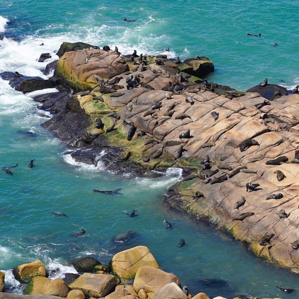 Cabo Polonio — Uruguay, South America
