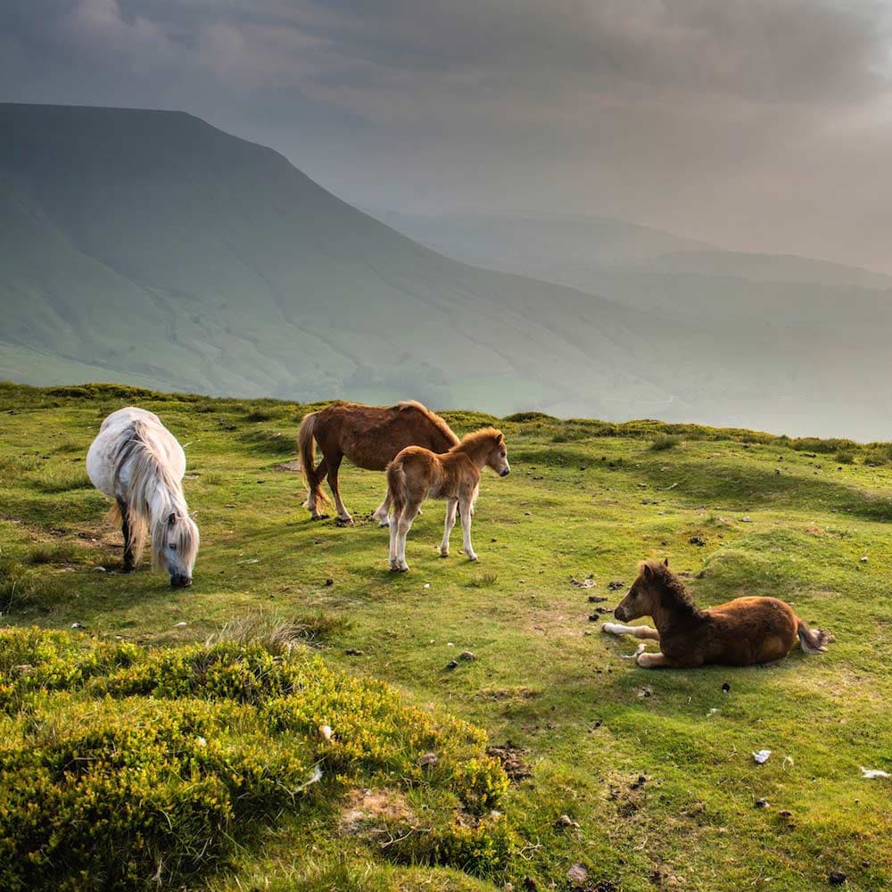 Brecon Beacons — Wales, United Kingdom