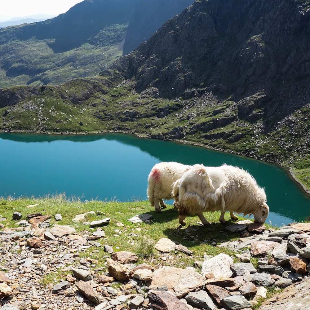 Snowdonia — Wales, United Kingdom