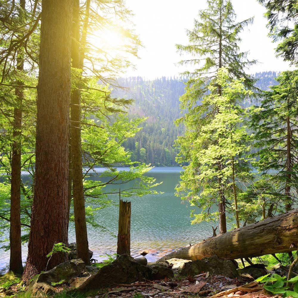 Sumava National Park — Czechia, Eastern Europe