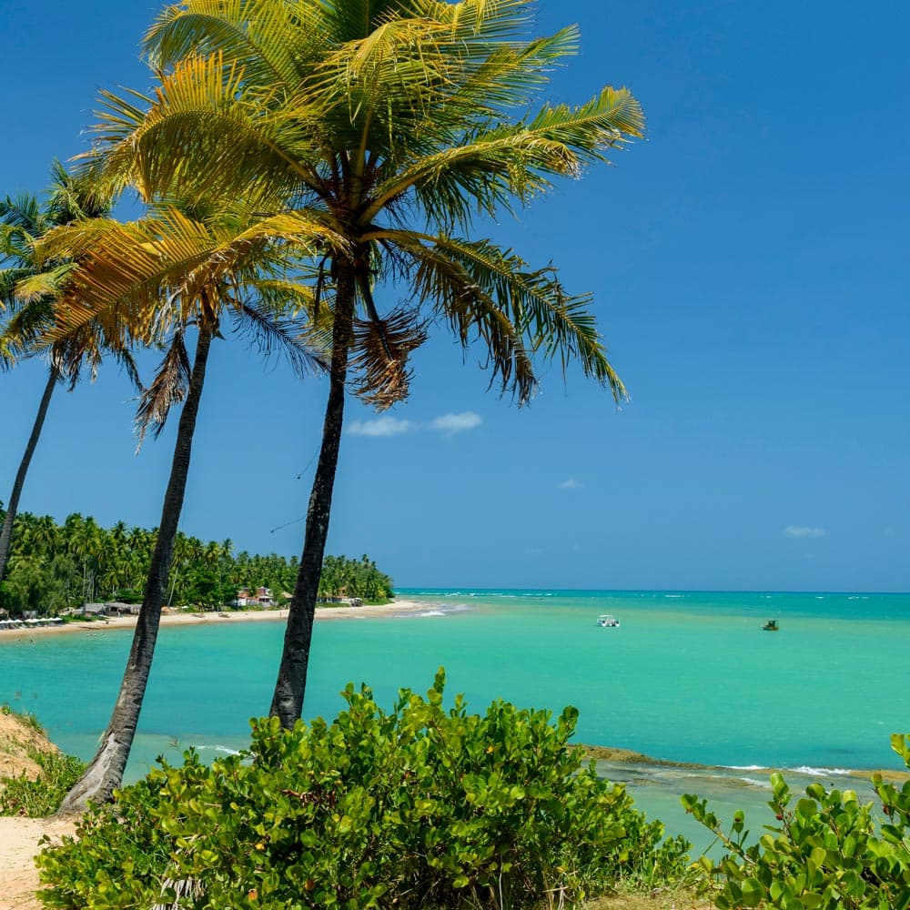 Praia de Japaratinga, Alagoas — Brazil, South America