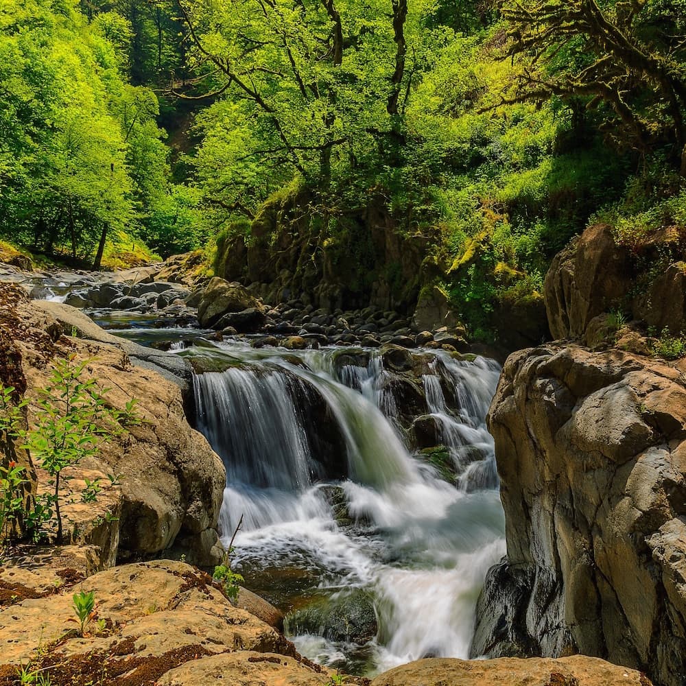 Hirkan National Park — Azerbaijan, Eastern Europe