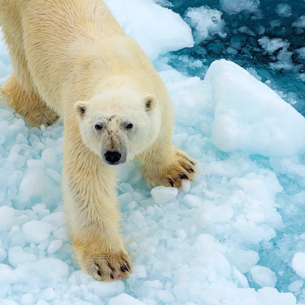 Ellesmere Island — Canada, North America