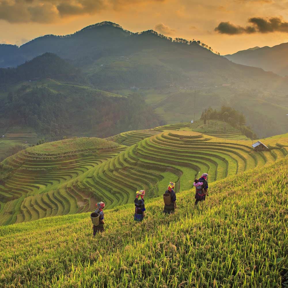 Mu Cang Chai — Vietnam, Asia