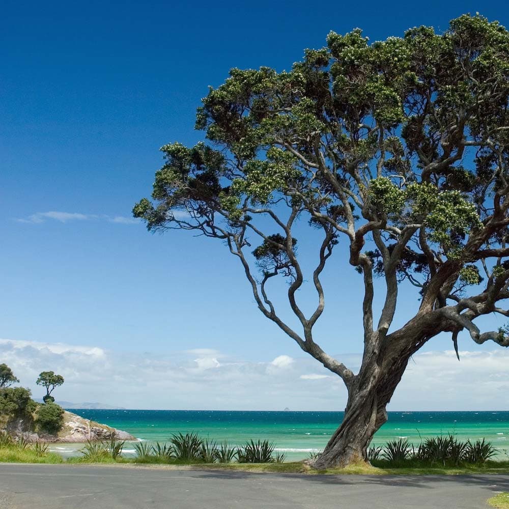 Tryphena Harbour — New Zealand, Oceania