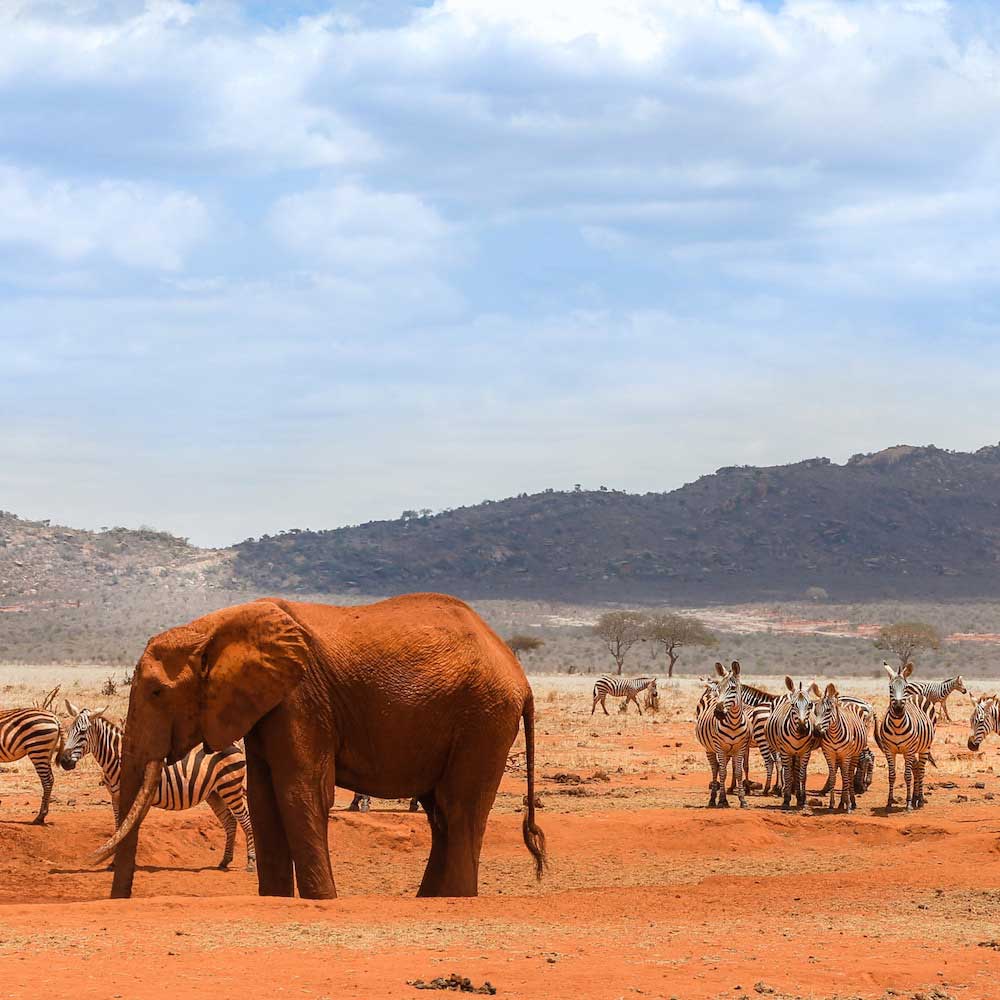Tsavo East National Park — Kenya, Africa