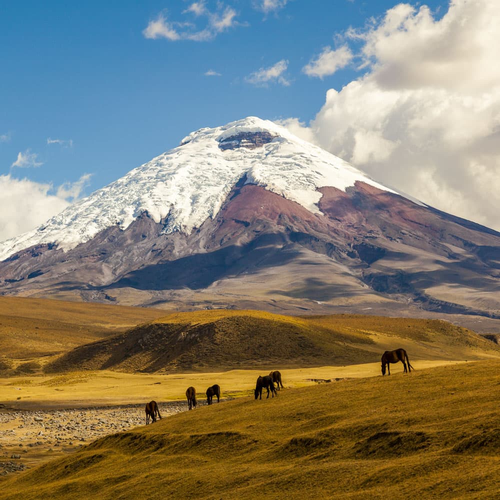 Cotopaxi — Ecuador, South America