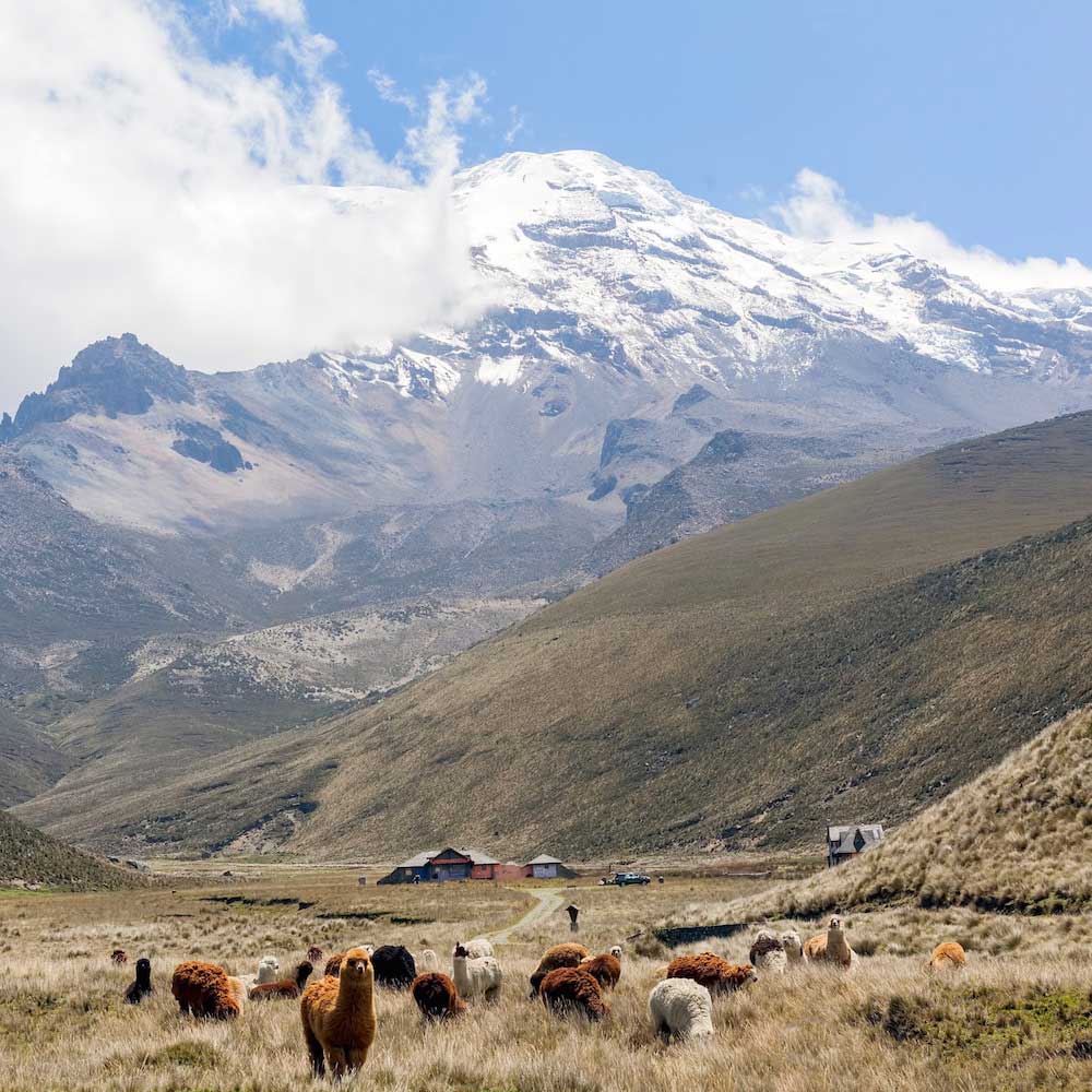 Chimborazo — Ecuador, South America