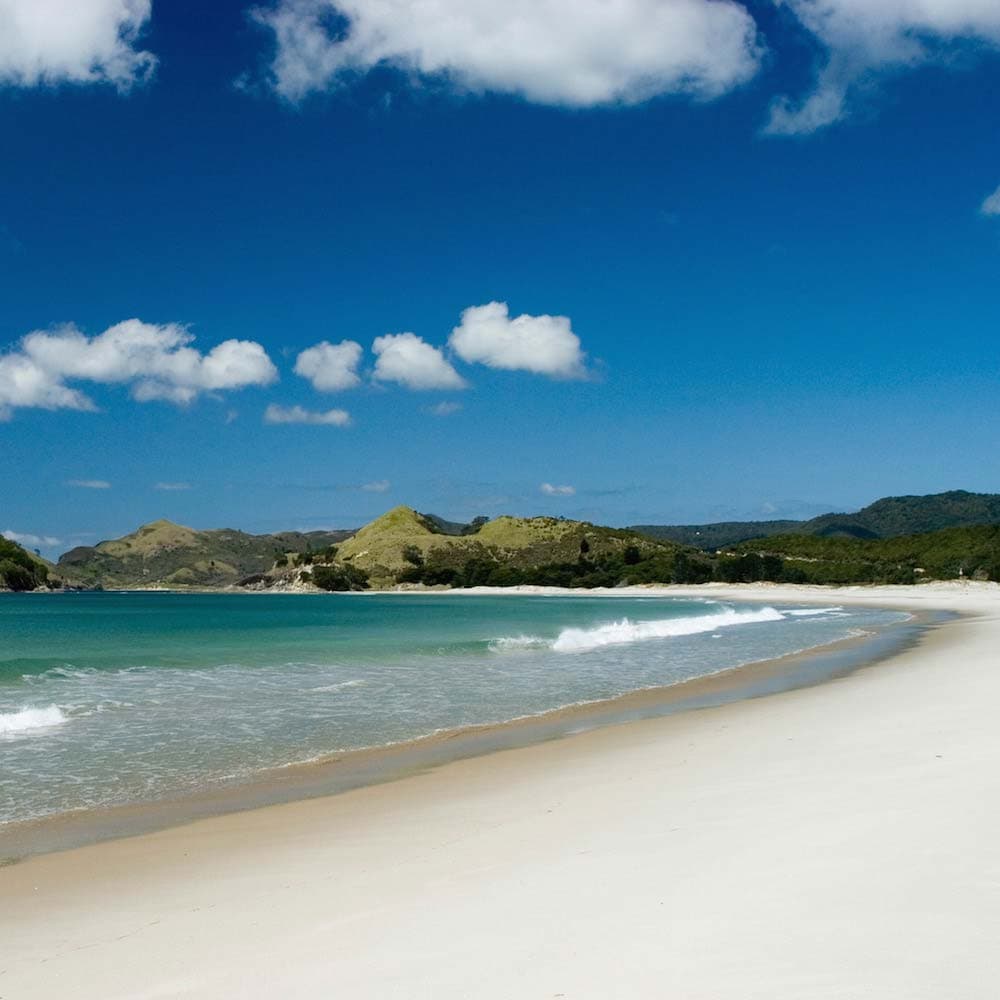Kaitoke Beach — New Zealand, Oceania