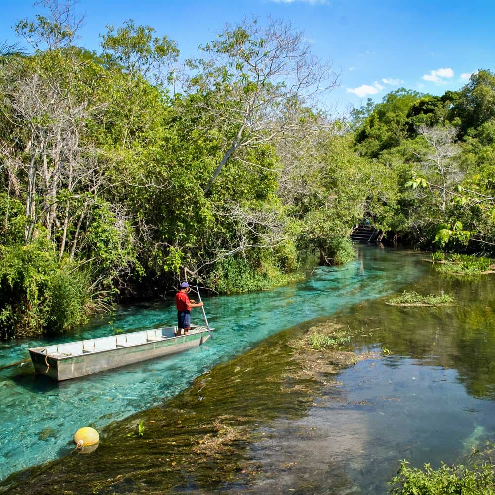 Sucuri River — Brazil, South America