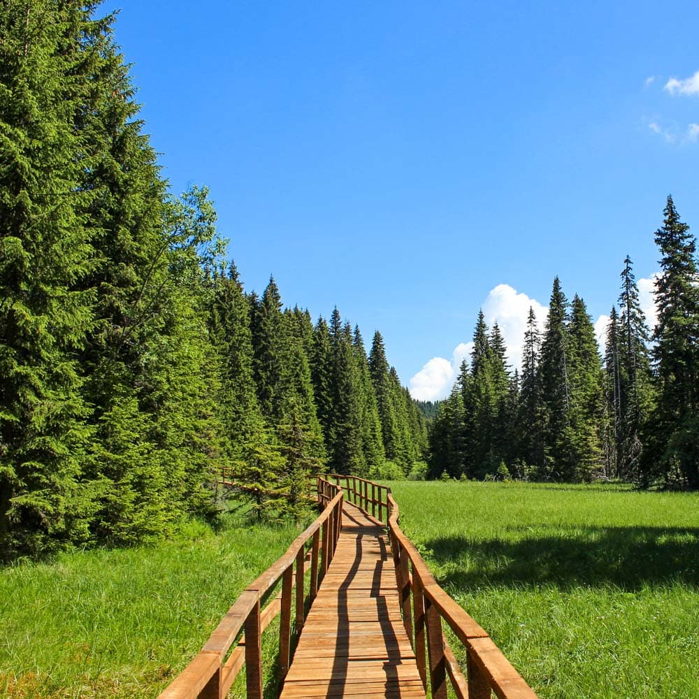 Kopaonik National Park — Serbia, Eastern Europe