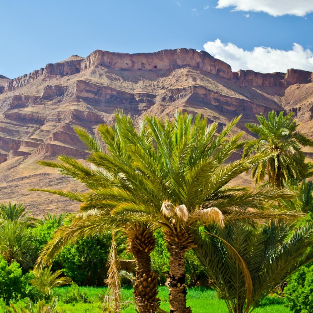 Draa Valley — Morocco, Africa