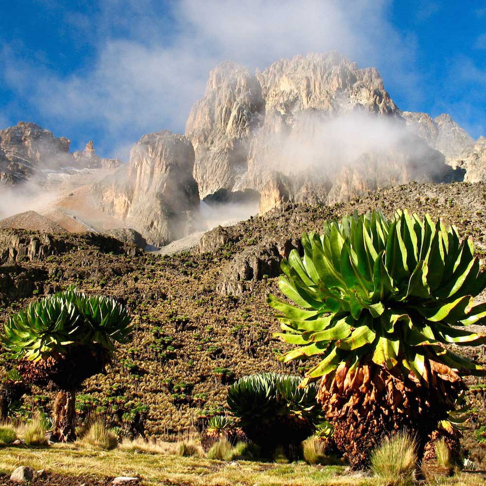 Mount Kenya — Kenya, Africa