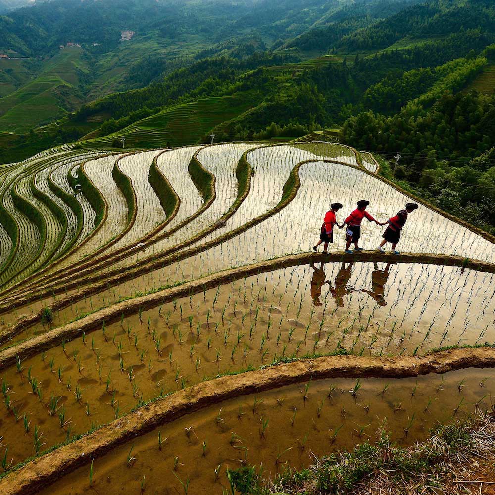 Guilin Rice Terraces — China, Asia