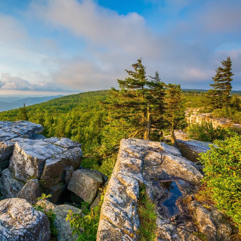 Bear Rocks Preserve — West Virginia, United States, North America