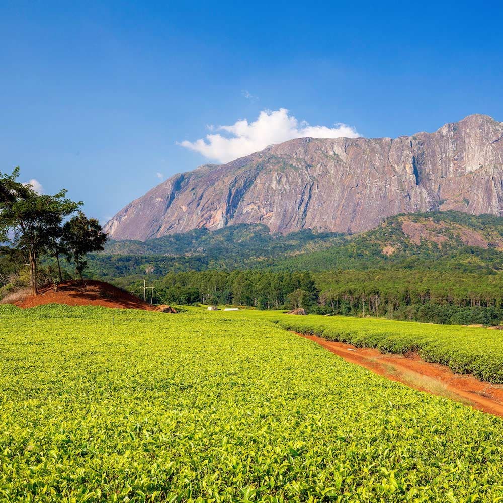Mulanje Massif — Malawi, Africa