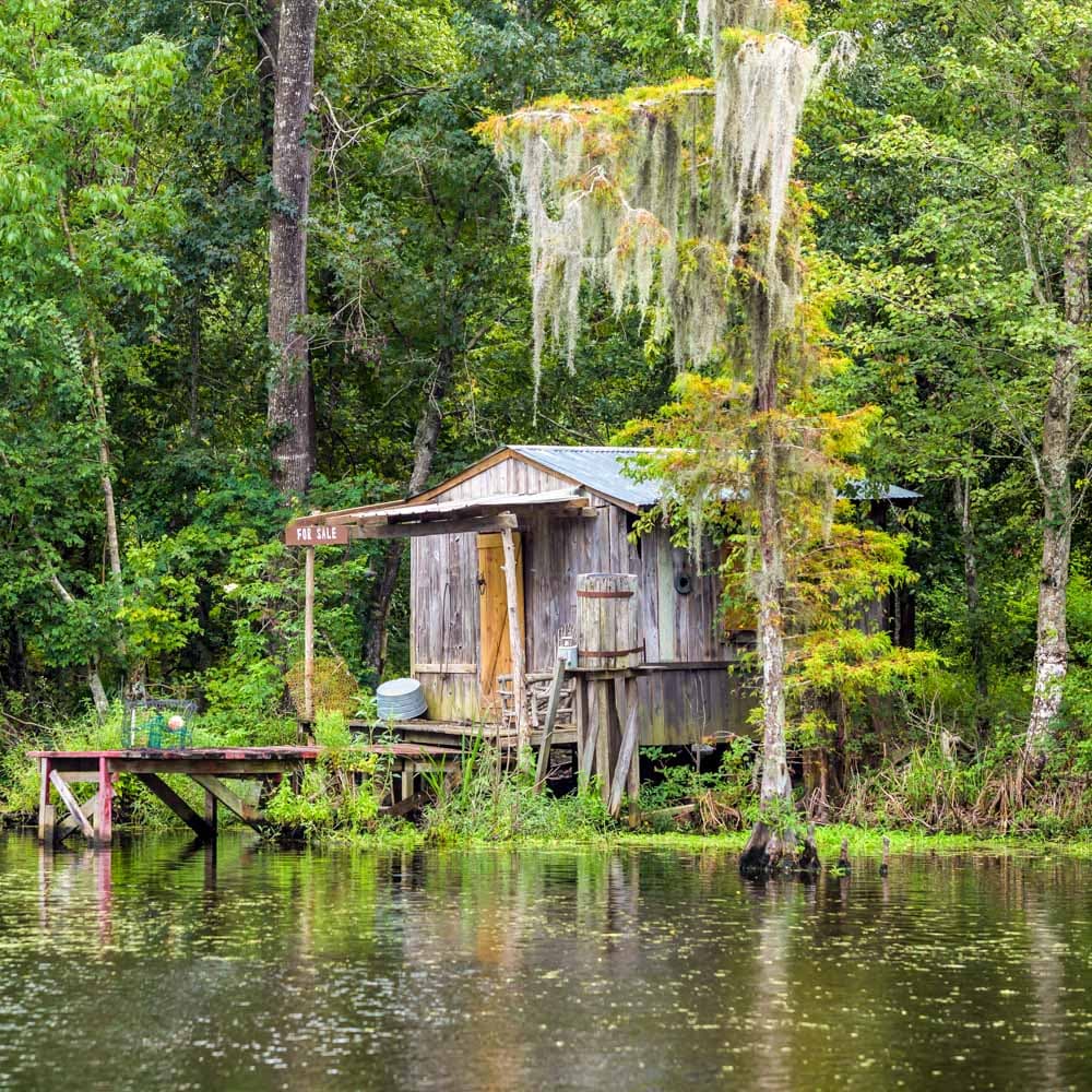 Louisiana Swamp Tours — Louisiana, United States, North America