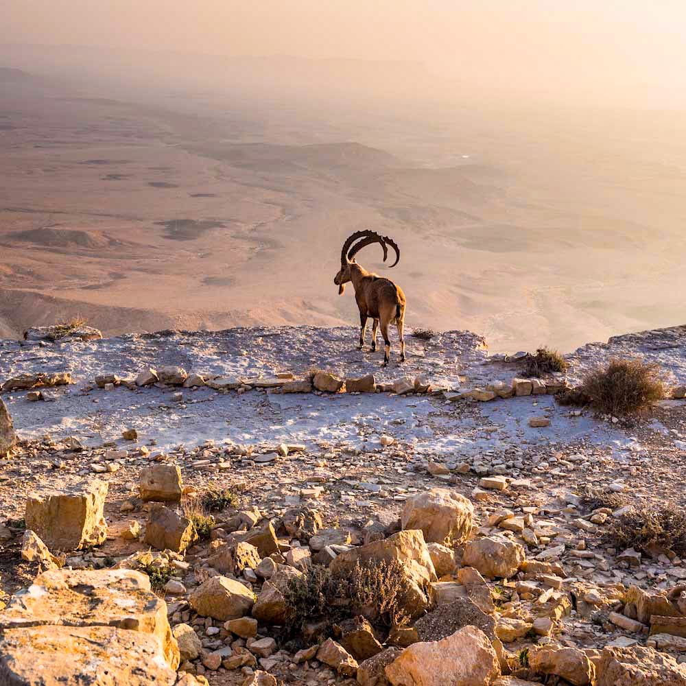 Makhtesh Ramon — Israel, Middle East