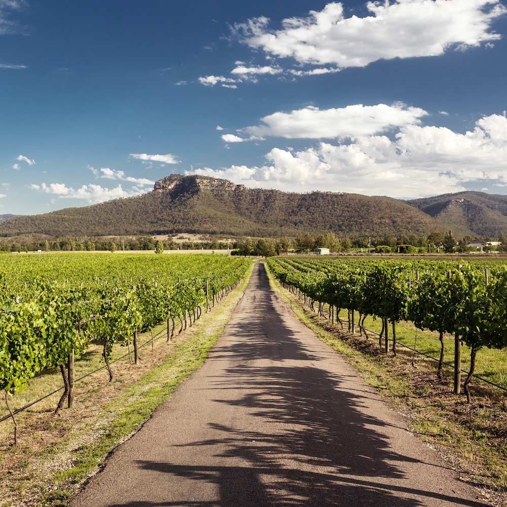 Hunter Valley — New South Wales, Australia, Oceania