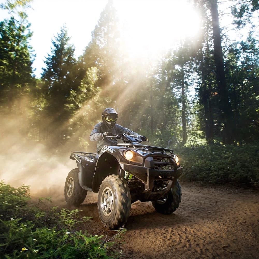 Buffalo Mountain Trailhead — West Virginia, United States, North America
