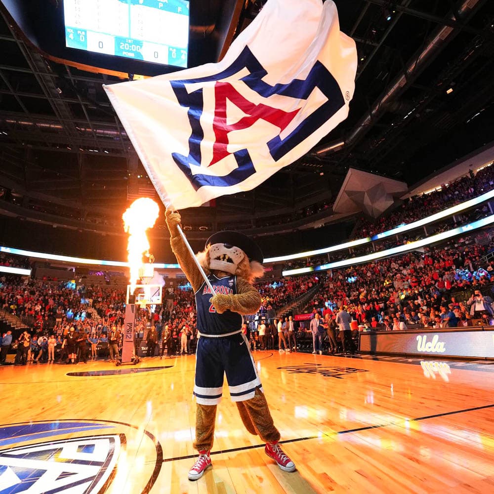 Arizona Wildcats Basketball — Tucson, Southern Arizona, Arizona, United States, North America