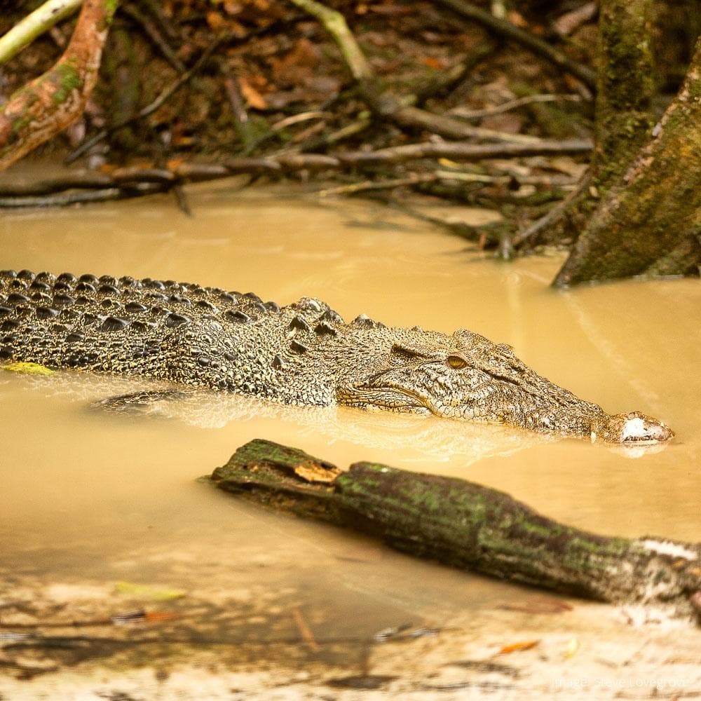 Matang Wildlife Centre — Sarawak, Malaysia, Asia