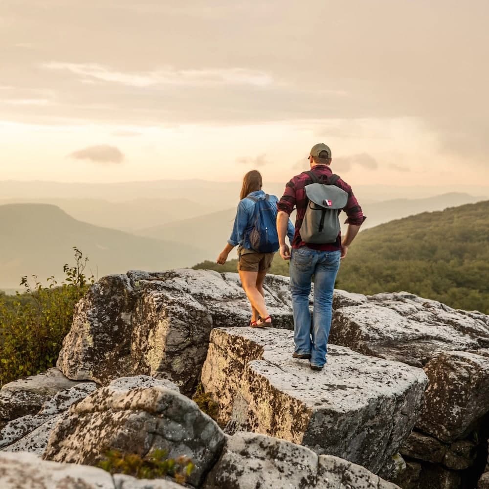 Dolly Sods Wilderness — West Virginia, United States, North America