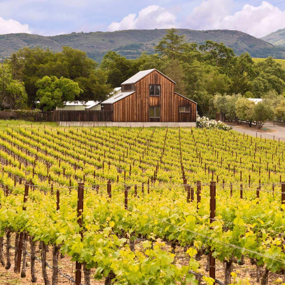 Napa Valley — California, United States, North America