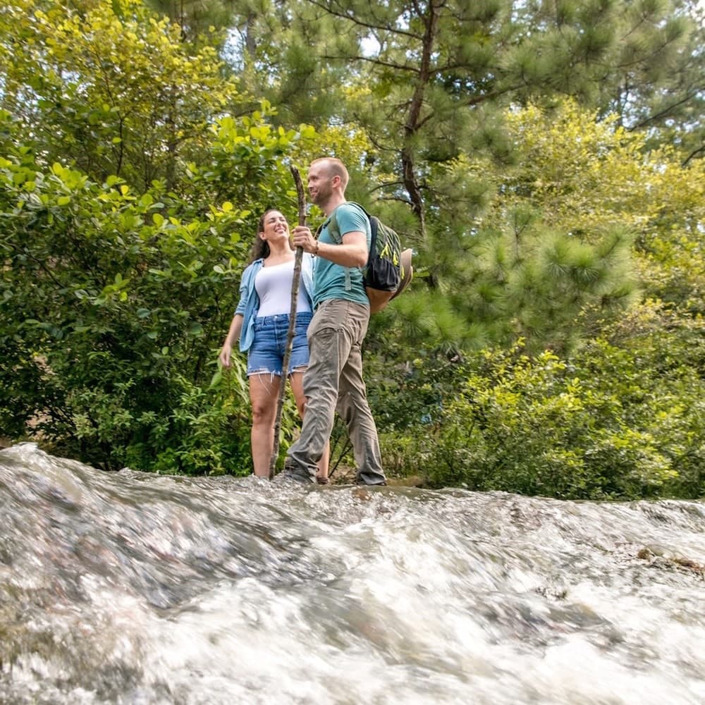 Kisatchie National Forest — Louisiana, United States, North America