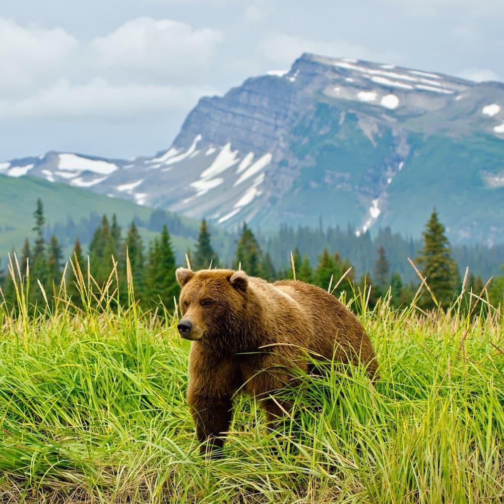 Lake Clark — Alaska, United States, North America