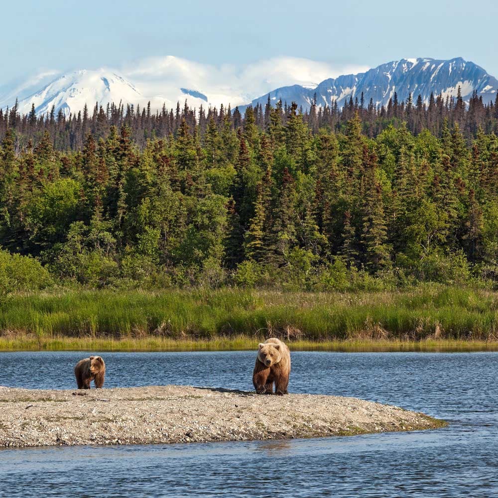 Katmai National Park — Alaska, United States, North America
