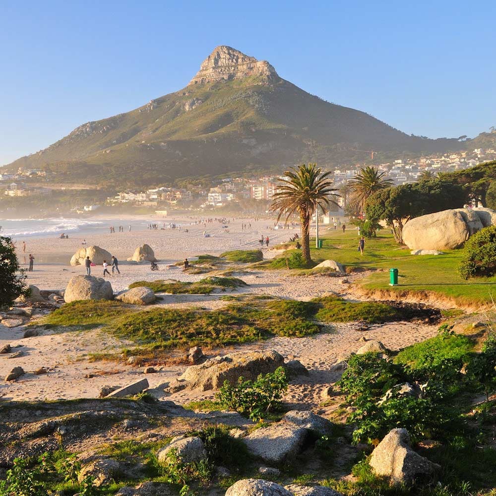 Lion's Head — South Africa, Africa