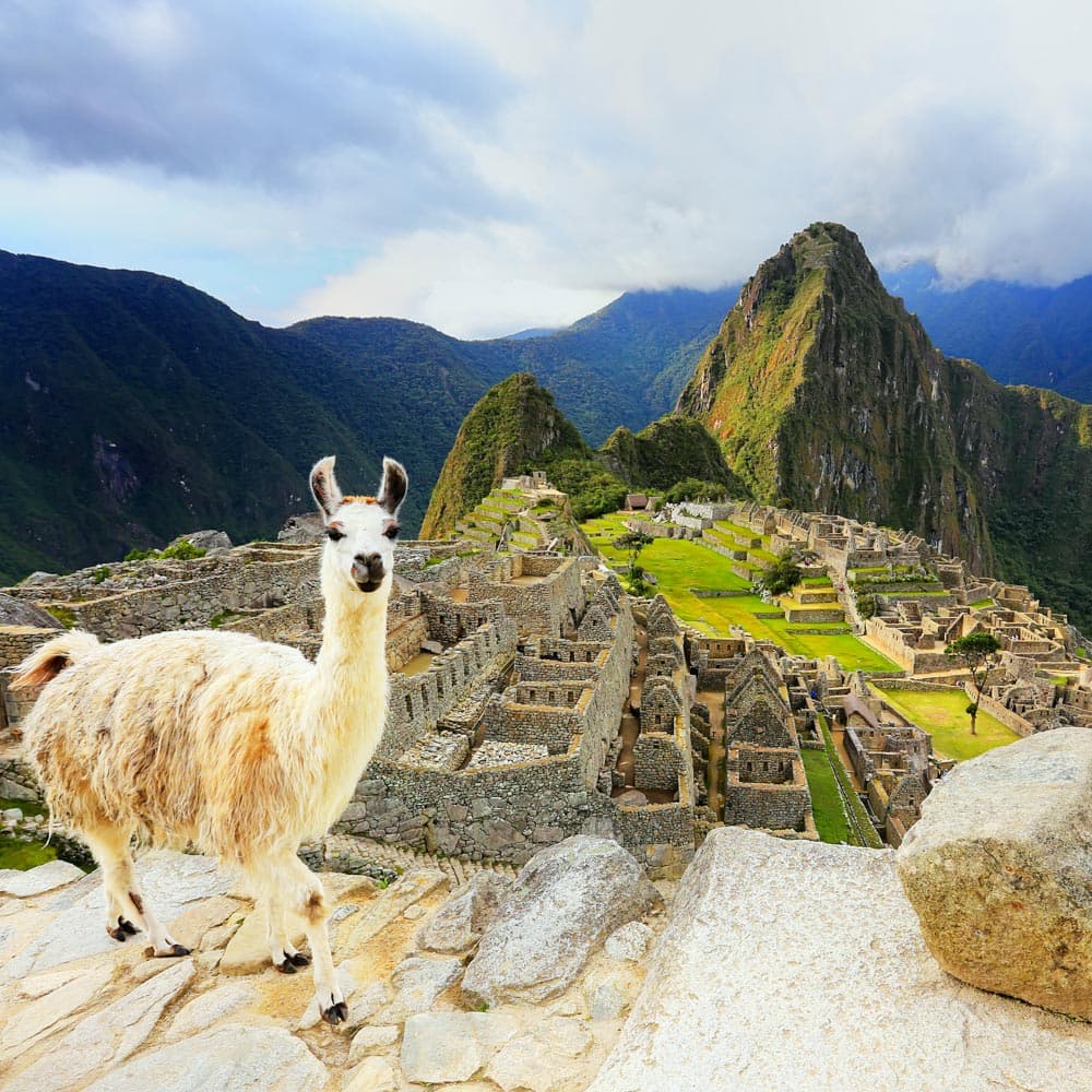 Machu Picchu — Peru, South America