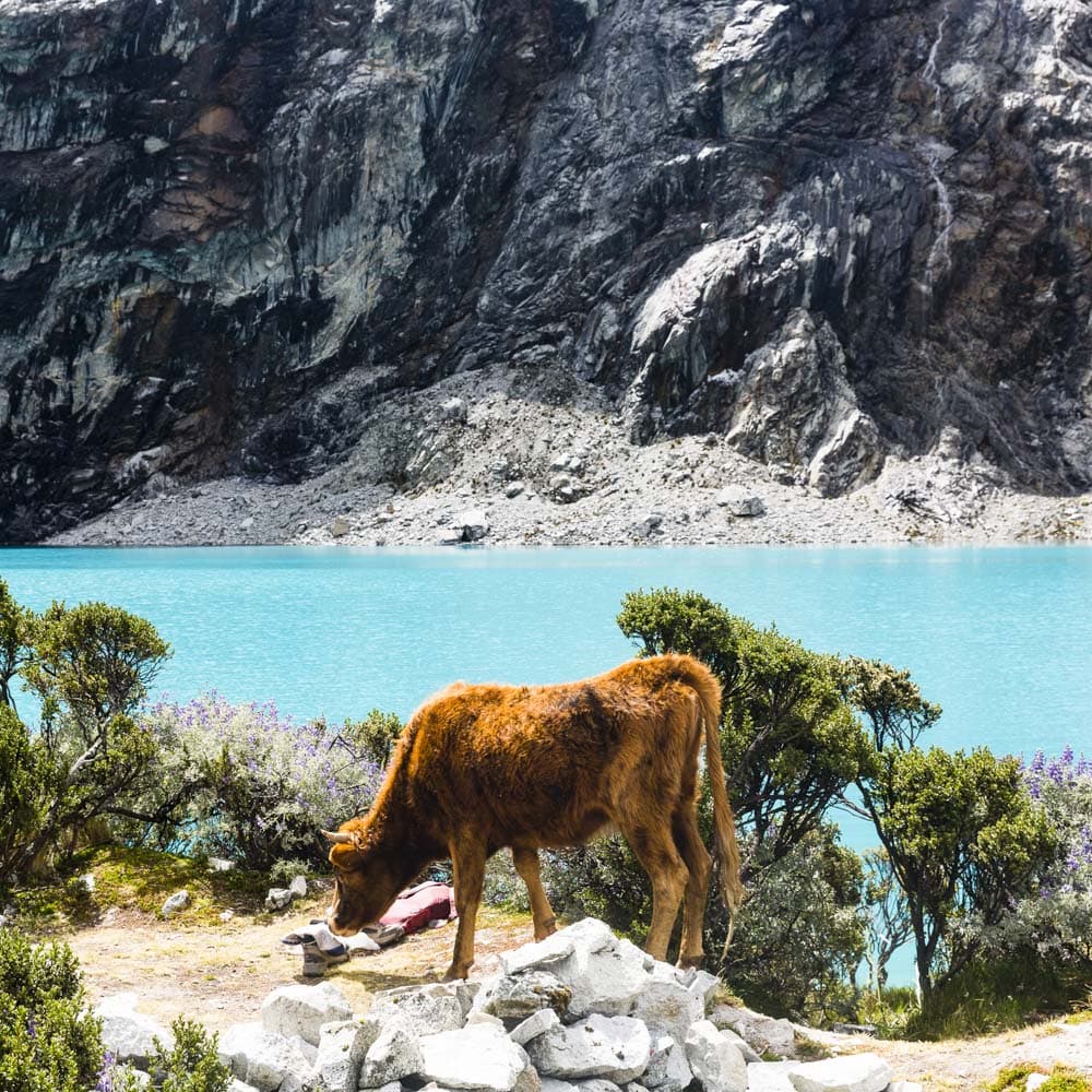 Huascaran National Park — Peru, South America