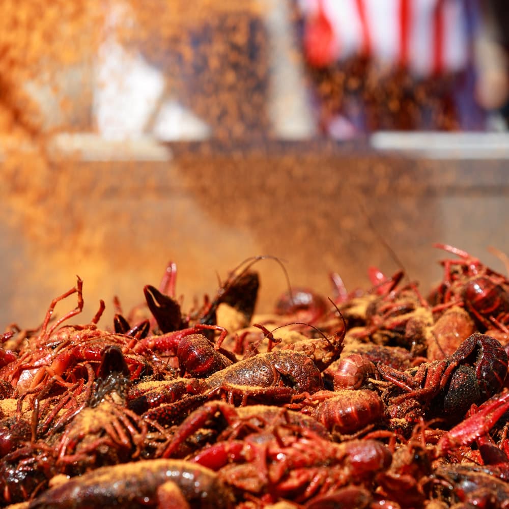 Mudbug Madness Festival — Louisiana, United States, North America