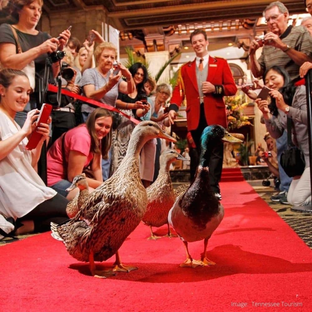 The Peabody — Memphis, Tennessee, United States, North America