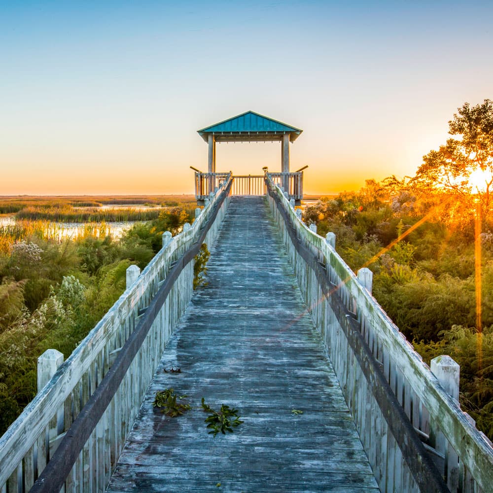 Creole Nature Trail All-American Road — Louisiana, United States, North America