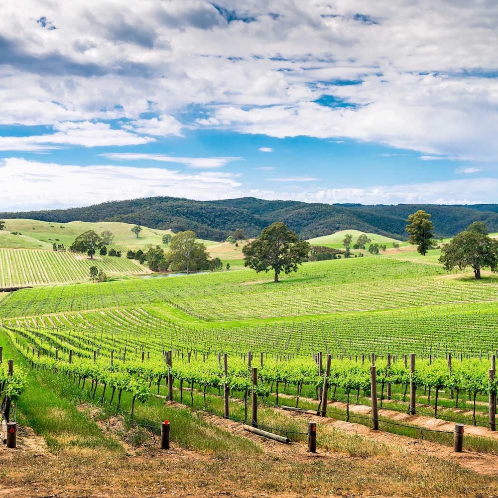 Barossa Valley — South Australia, Australia, Oceania