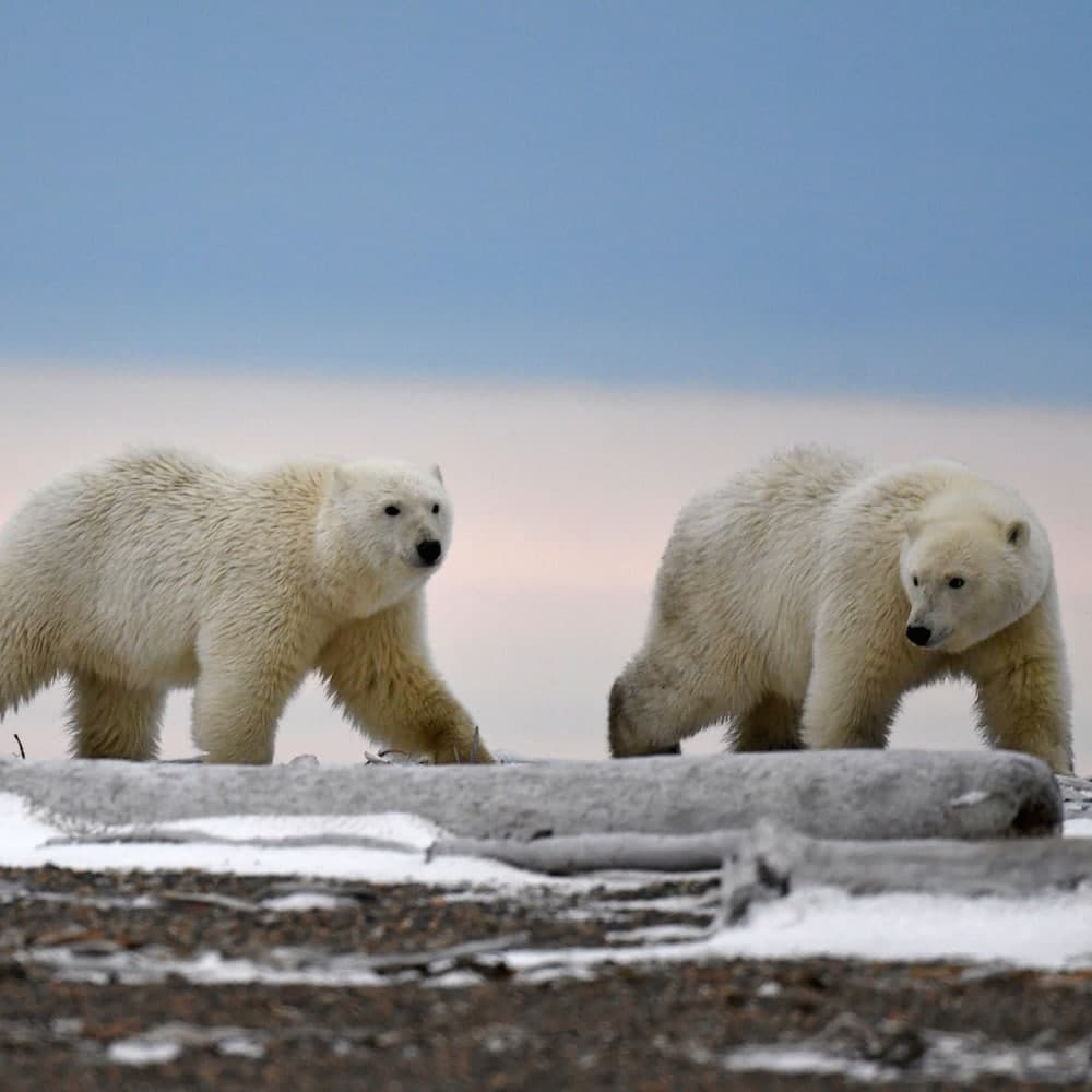 Kaktovik — Alaska, United States, North America