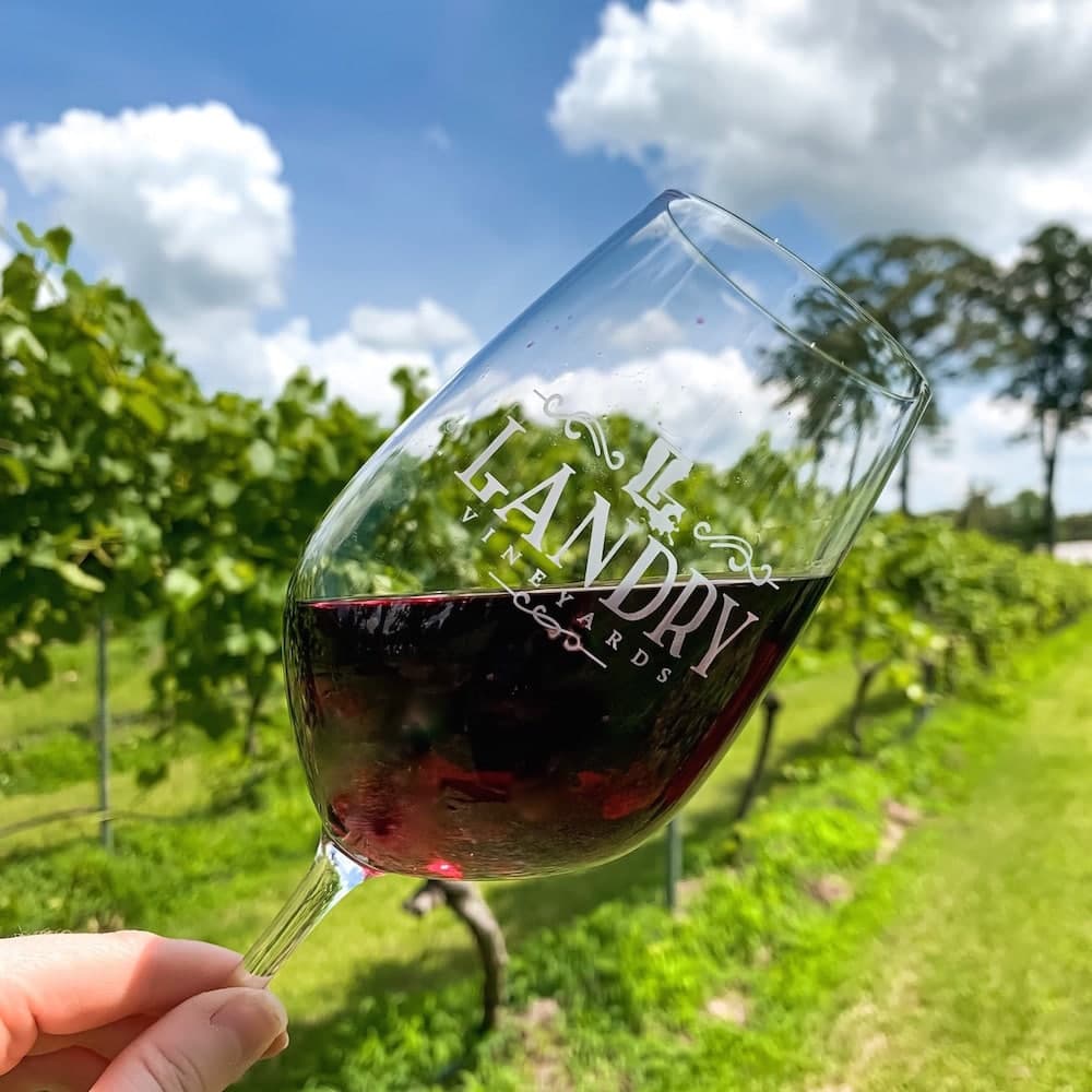 Landry Vineyards — Louisiana, United States, North America