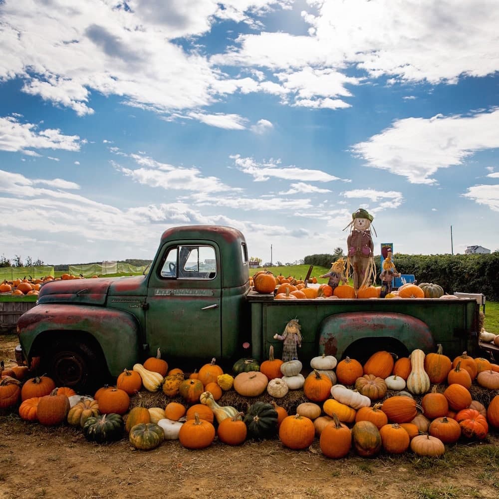 Orr's Farm Market — West Virginia, United States, North America